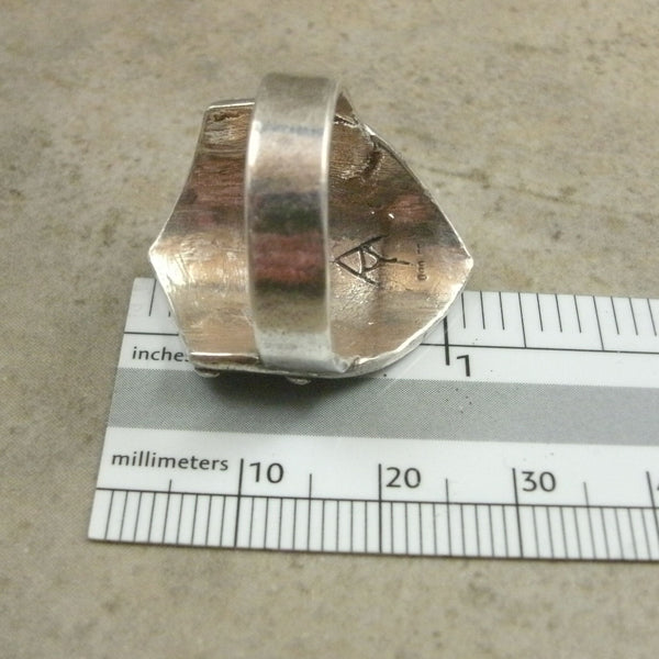 Size of Shield Ring from PartsbyNC